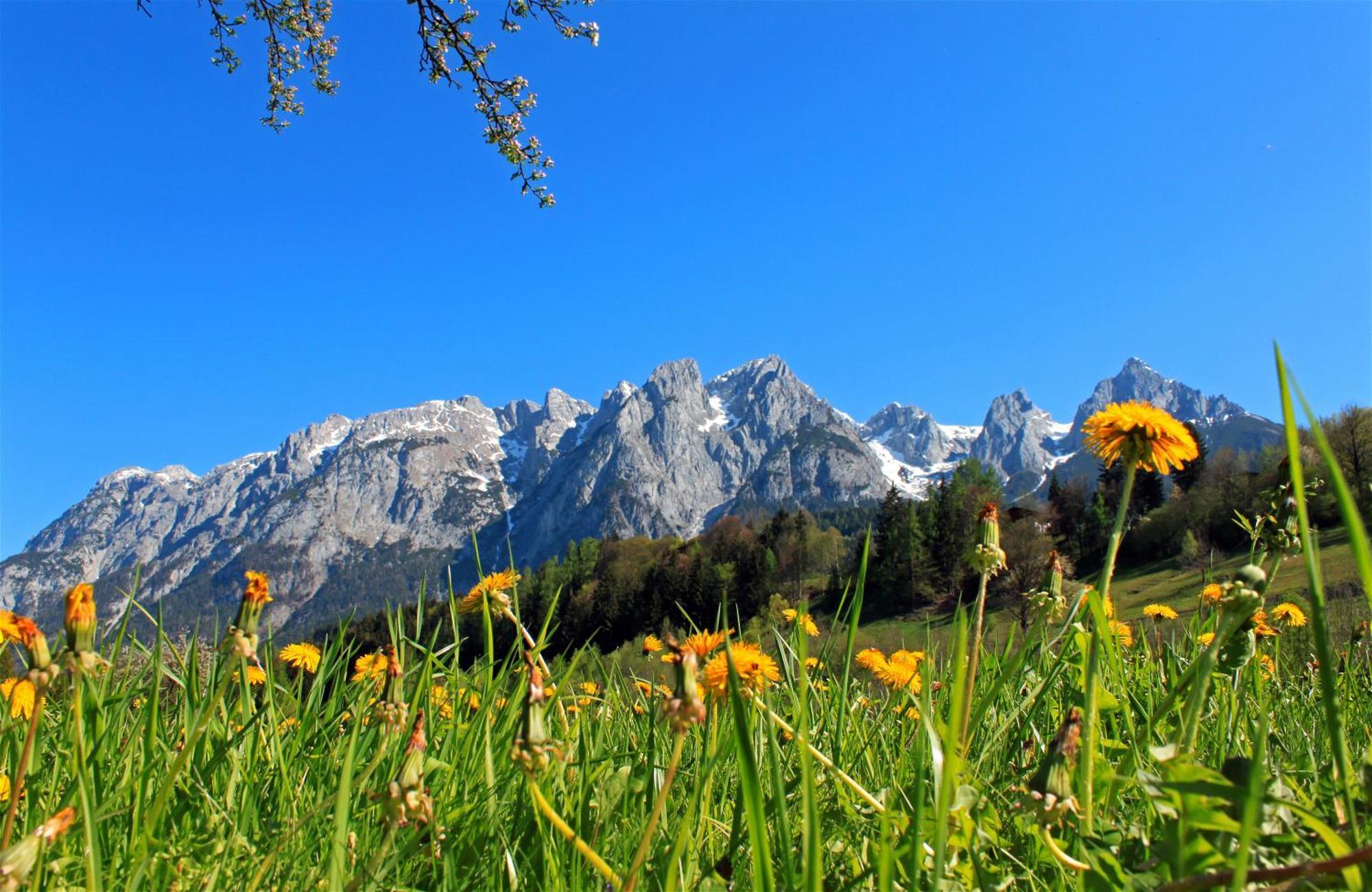 Pension Sonneck Pfarrwerfen Bagian luar foto