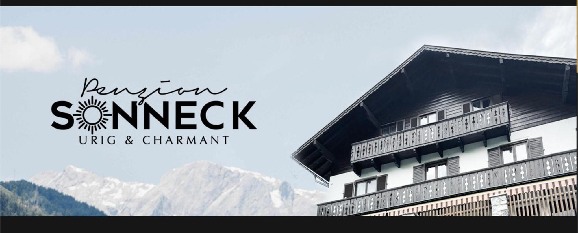 Pension Sonneck Pfarrwerfen Bagian luar foto