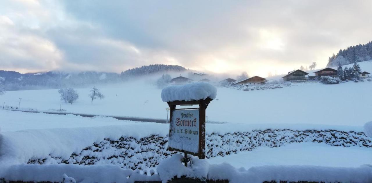 Pension Sonneck Pfarrwerfen Bagian luar foto
