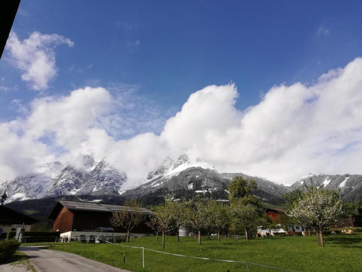 Pension Sonneck Pfarrwerfen Bagian luar foto