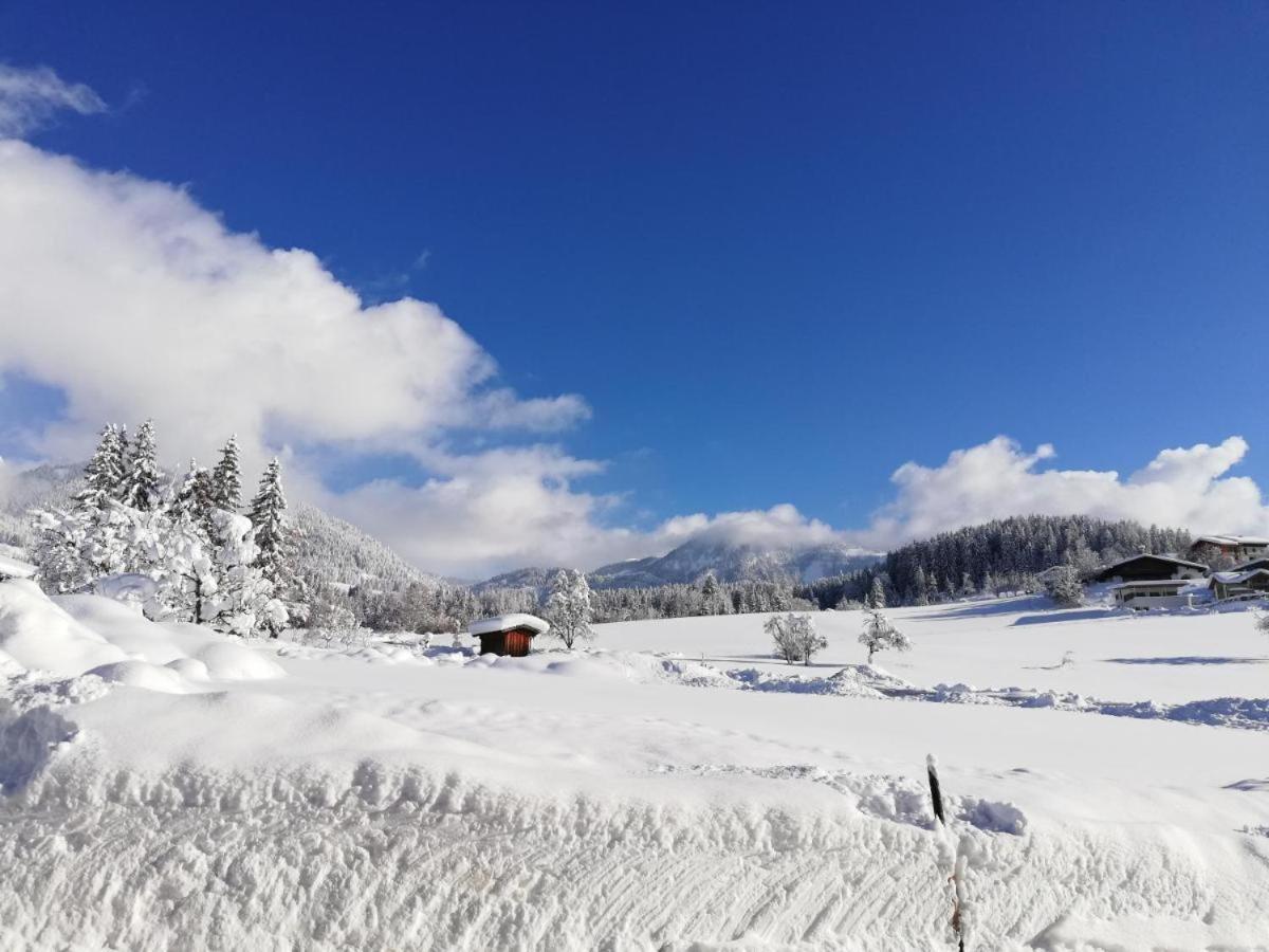 Pension Sonneck Pfarrwerfen Bagian luar foto